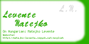 levente matejko business card